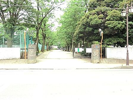柏中学校(450m)