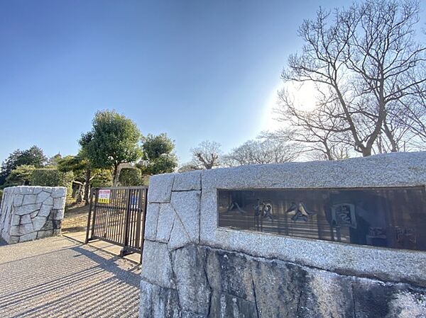 周辺を拡大表示