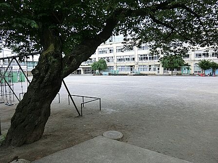 小学校 600m 杉並区立高井戸第四小学校