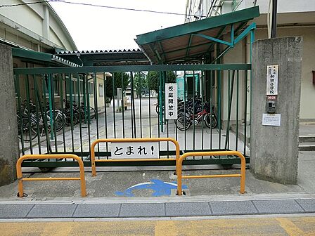 小学校 300m 杉並区立和田小学校