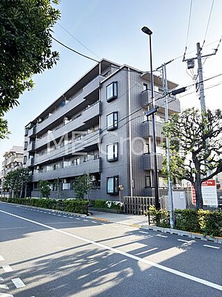 ここから始まる...