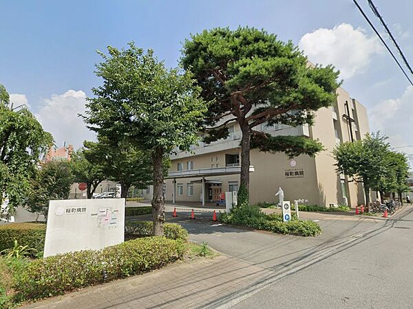 周辺を拡大表示