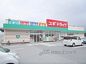 スギドラッグ　長浜中央店まで550メートル
