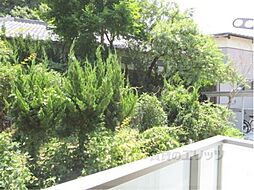 マウントビューいけした