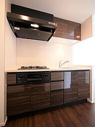 ラフィスタ墨田5丁目II 201