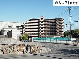 6 / 20