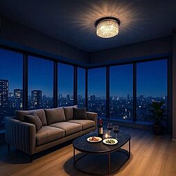 ザ・ファインタワー大手前 2SLDKのリビング/ダイニング