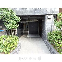 11 / 24