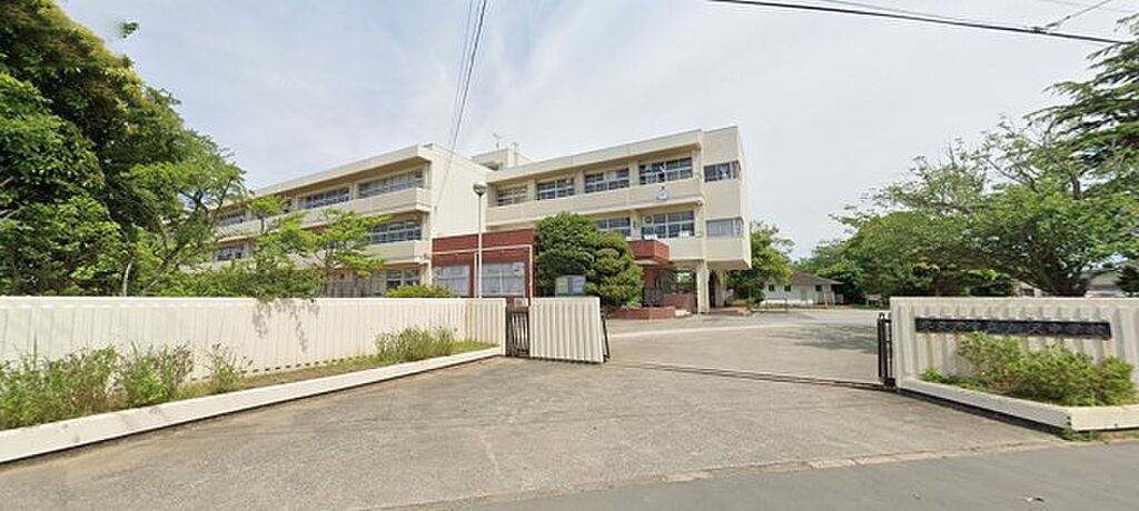 Image 7