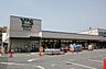 周辺：ワイズマート香澄店（800m）