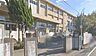 周辺：小金北小学校（442m）