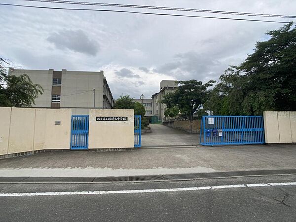 周辺を拡大表示