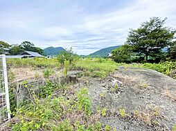 三野町吉津ナガボソい土地