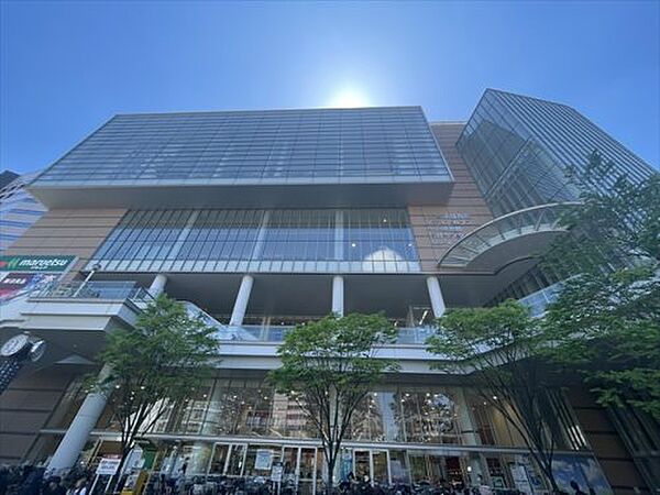ドゥーエ川口