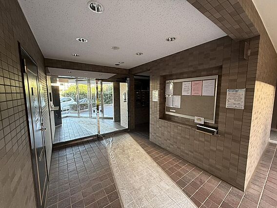 撮影日：202...