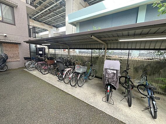 整理された駐輪...