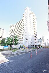 パルハセトン十三