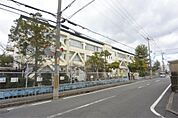 寝屋川市立神田小学校（428m）