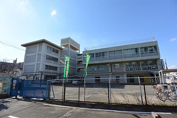 画像16:寝屋川市立桜小学校（68m）