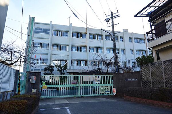 画像24:寝屋川市立田井小学校（236m）