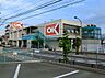 周辺：オーケー 伊勢原店まで約1000m（徒歩13分）