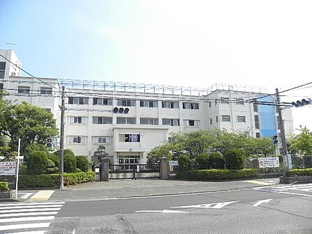 平塚市立太洋中学校まで約740m(徒歩10分)