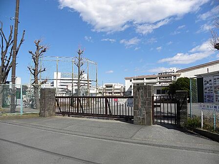平塚市立崇善小学校まで約230m(徒歩3分)