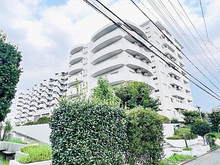 ぜひ現地をご覧くださいませ。