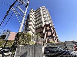 6 / 24