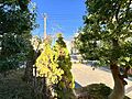 お住まいからの...