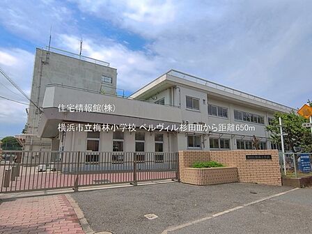 横浜市立梅林小学校まで約650m（徒歩9分）