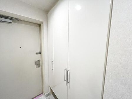 散らかりがちな玄関もスッキリの玄関収納付。
