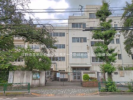 日野市立旭が丘小学校まで約50m(徒歩1分)