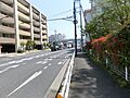 その他画像です...