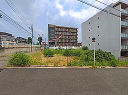 松波