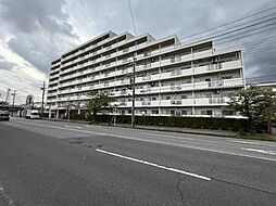 グランヴィル松葉
