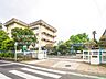 周辺：柏市立酒井根小学校まで約800m（徒歩10分）