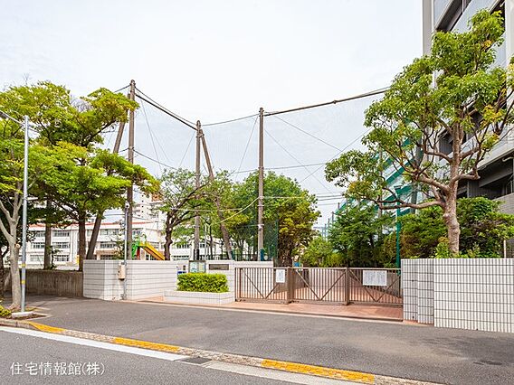 江戸川区立南葛...