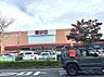 周辺：ホームセンター 山新宇都宮店まで約920m（徒歩12分）