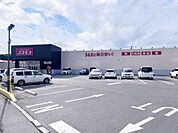 ドラッグストアコスモス 鶴田店まで約310m（徒歩4分）