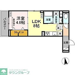 セレスティア亀有 1階1LDKの間取り