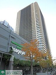 シティタワー金町　タワー棟