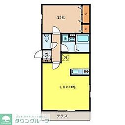 ファインコートＳ 1階1LDKの間取り
