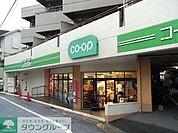 ミニコープ 546m