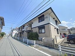 フェルティコート