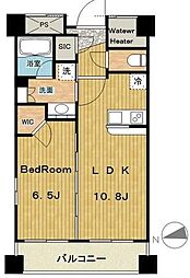 グランハイツ白金 1階1LDKの間取り