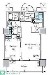 HARUMI　FLAG　PORT　VILLAGE　D棟 11階1LDKの間取り