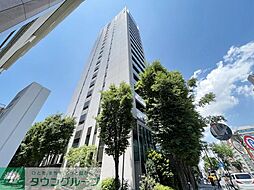 モデルノトッレ松濤