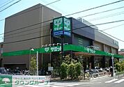 サミットストア 徒歩4分。スーパー 250m