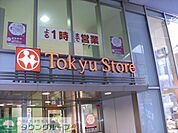 東急ストア 徒歩11分。スーパー 810m